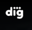 Digital Industry Group logo